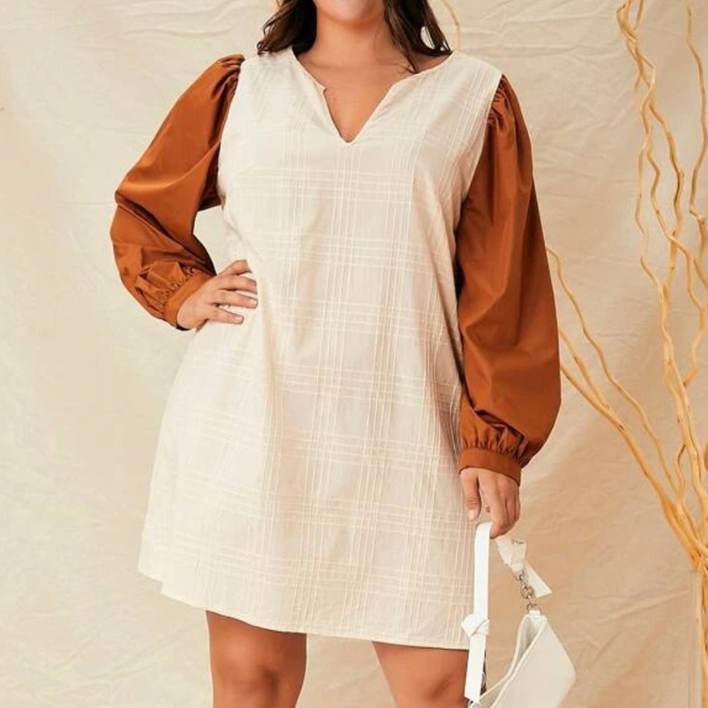 Plus / curvy color block dress